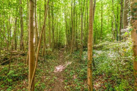Woodland