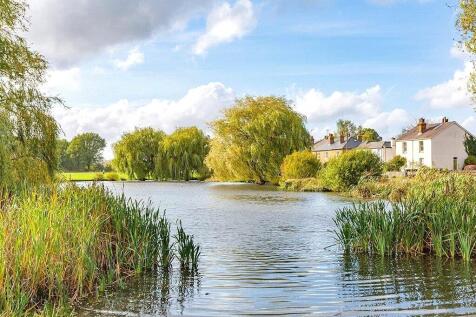 Pond