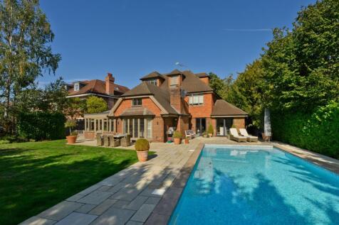 Rear Aspect