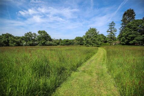 Field