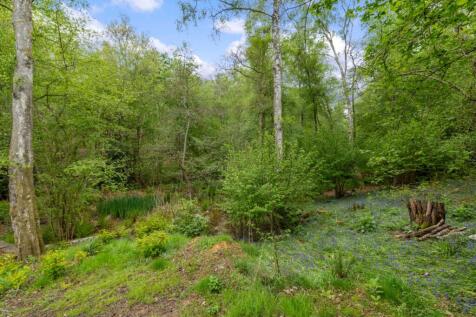 Woodland