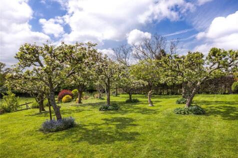Orchard