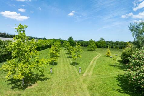 Grounds