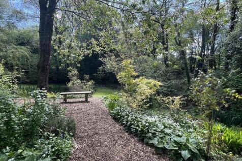 image00006.jpeg