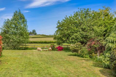 Property Image 39