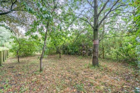 Property Image 44