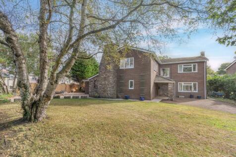 Property Image 39
