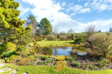 Pond