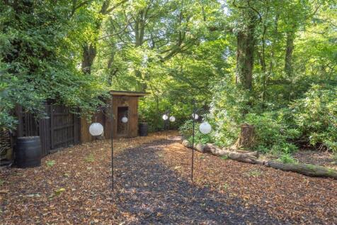 Woodland Walk