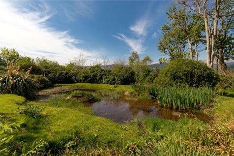 Pond