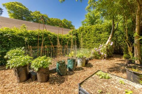 Kitchen Garden