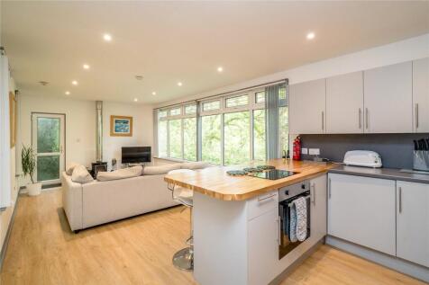 Kitchen/Living Area