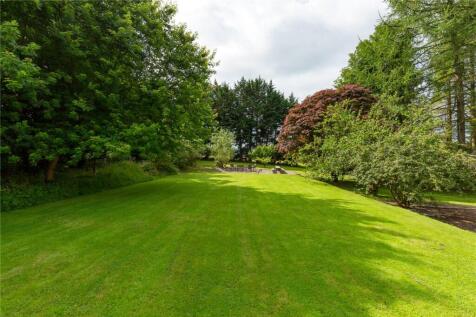 Grounds