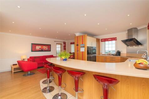 Living/Kitchen Area