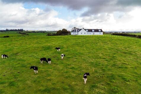 Grounds