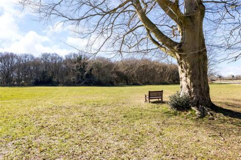 The Common