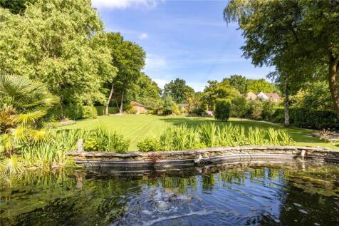 Pond