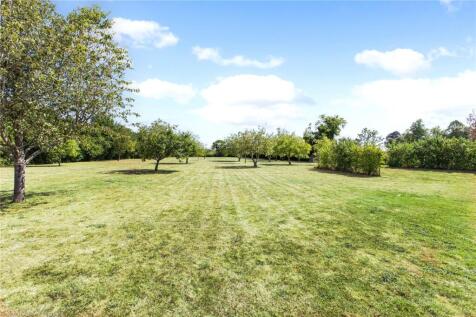 Orchard
