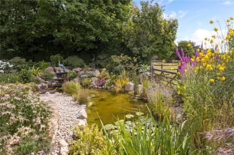 Pond