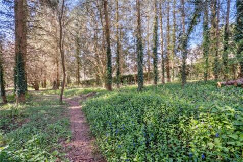 Woodland