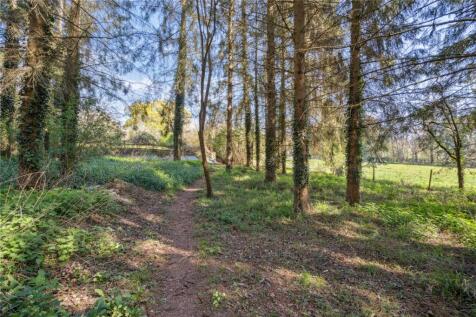 Woodland