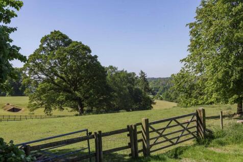 Grounds