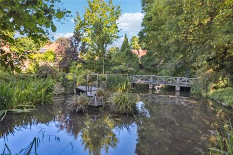 Pond