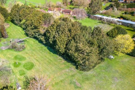 Yew tree Walk