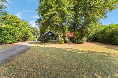 Front Garden &amp; Drive