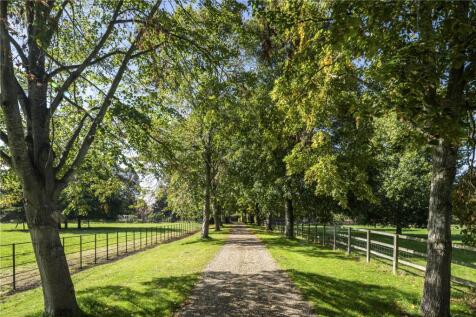 Tree-Lined Driveway