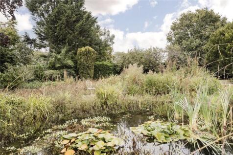 Wildlife Pond