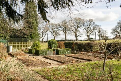 Kitchen Garden