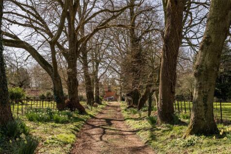 Tree Lined Avenue