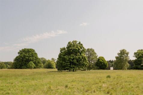 Picture No. 35