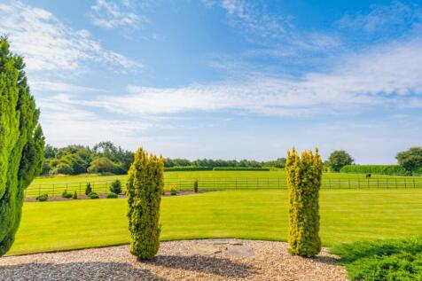 Grounds