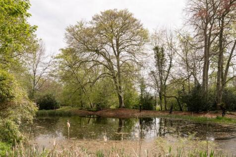 Grounds