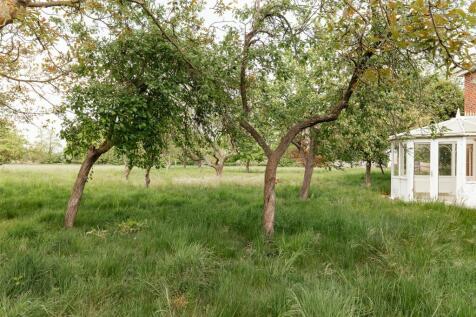 Grounds