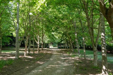 Grounds