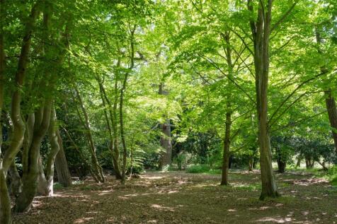 Grounds