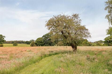 Grounds