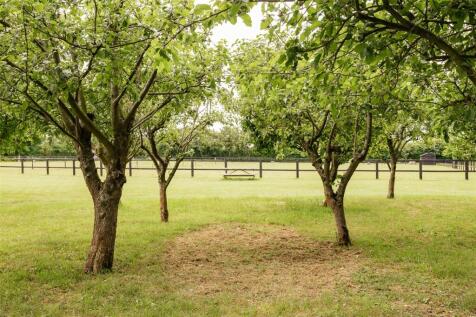 Grounds