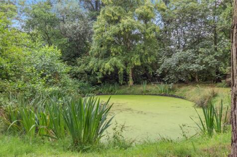 Pond