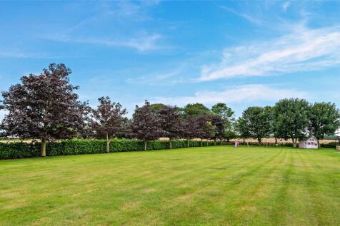 Grounds