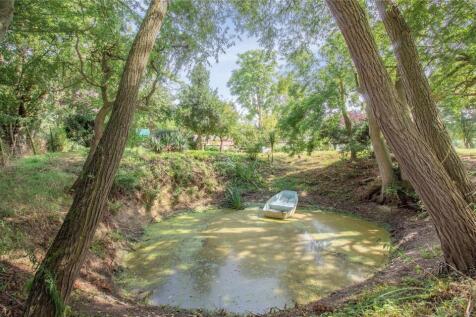 Pond