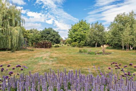 Grounds