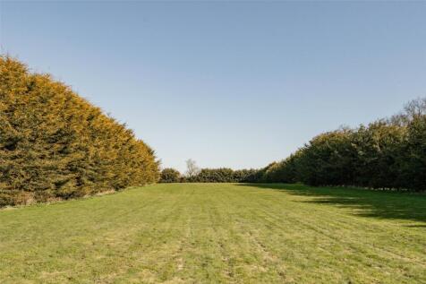 Grounds