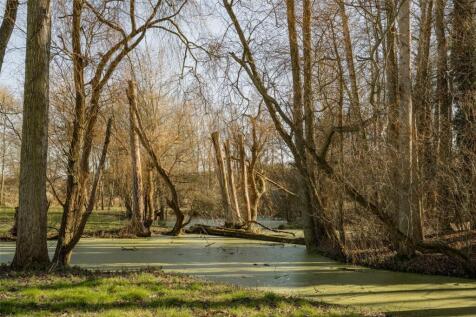 Grounds