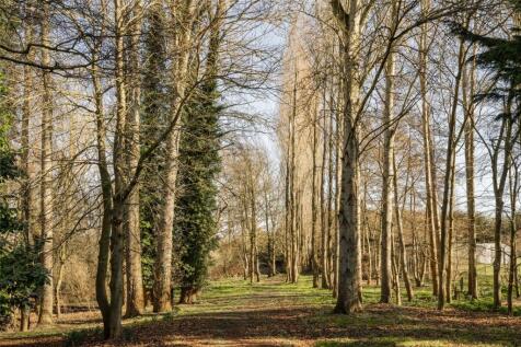 Grounds