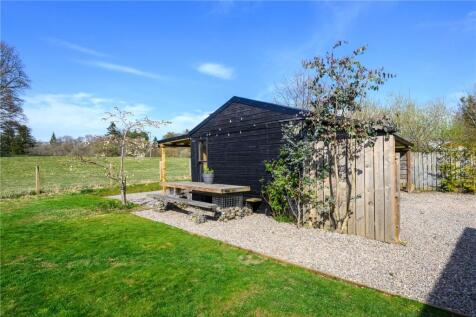 Back Garden
