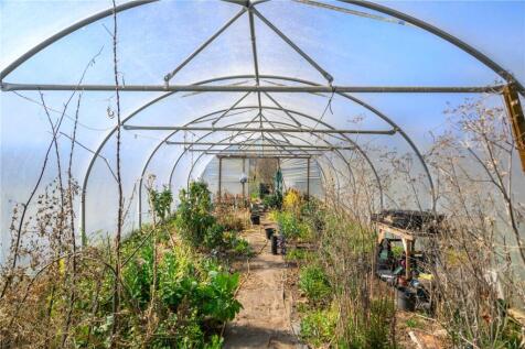 Polytunnel